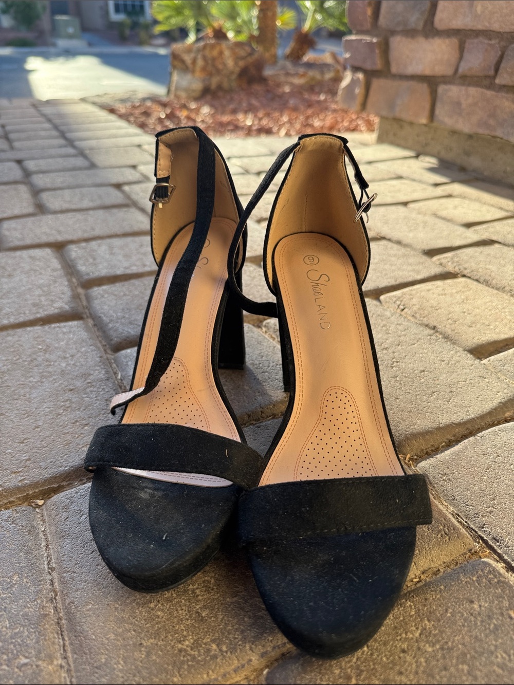 Black Ankle-Strap Block Heel Sandals